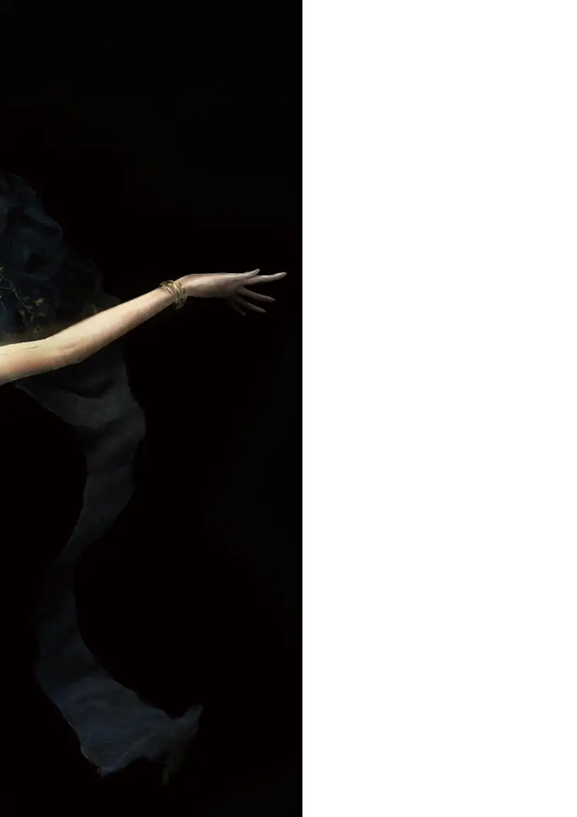 艾尔登法环设定集（卷2） 第2页设定图